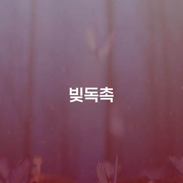 파산개인회생 채무조정제도을 이용하여 해결하고 싶다면