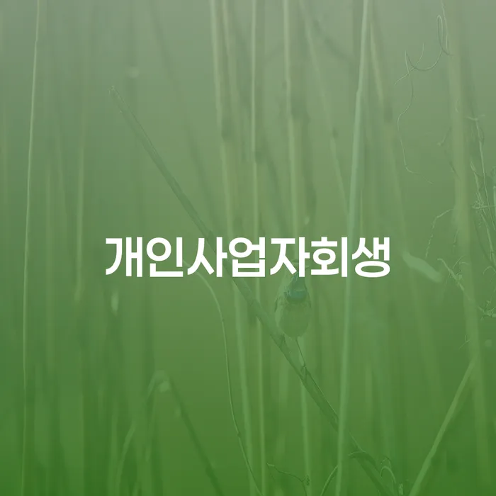 개인회생신청방법 개인회생으로 해결 확실한 진행