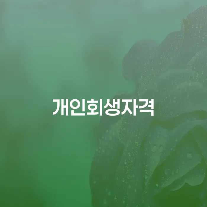 개인회생법무사변호사 개인회생 처리방법 결정나고