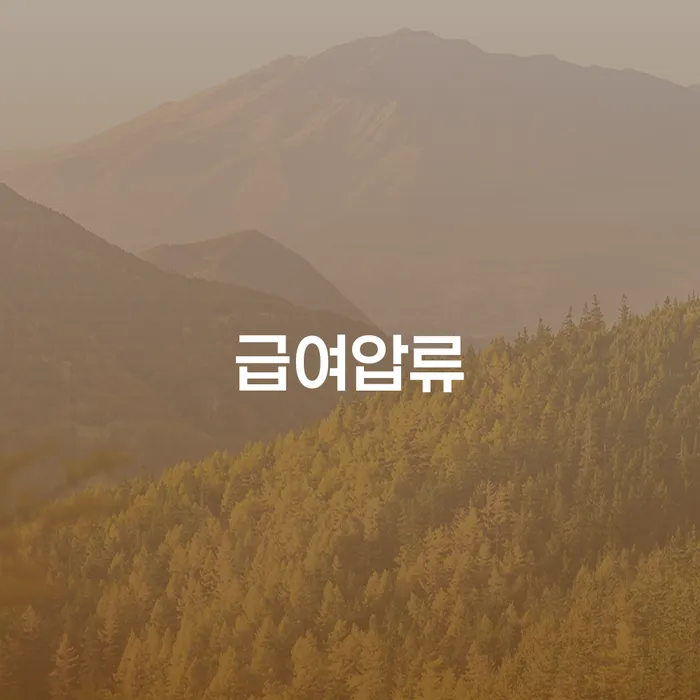 비면책채권 워크아웃 단점을