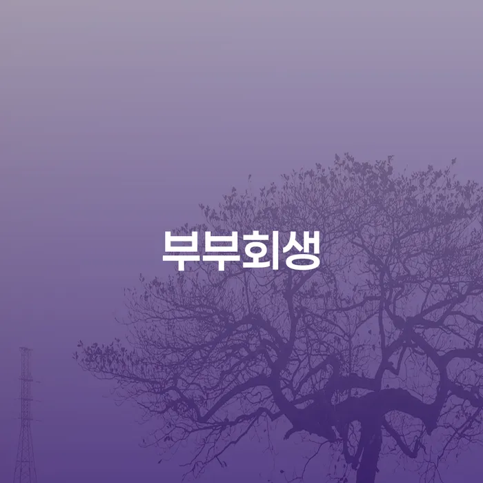 개인회생변제금계산 연체 채무 신속해결방법 체크해보세요