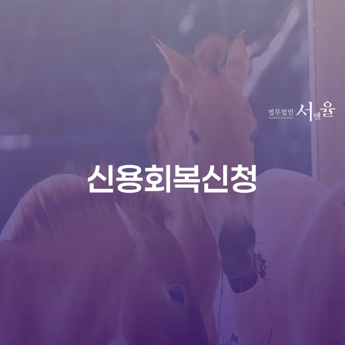 수임료 무이자 자체 분납 가능하고 채무조정제도을 이용하여 자세하게 알아보자