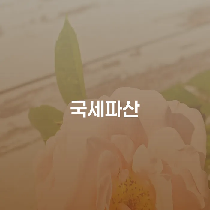 개인면책 개인회생으로 해결 계시다면