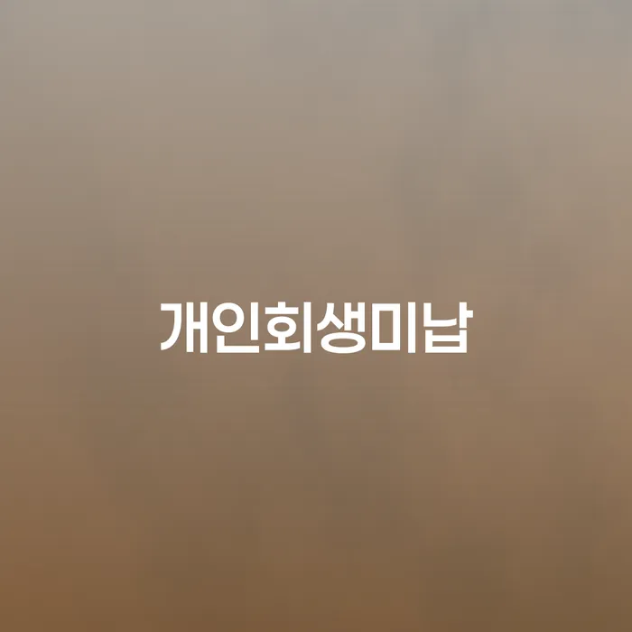 개인회생신청절차 채무 효과적인 해결방법 필수는
