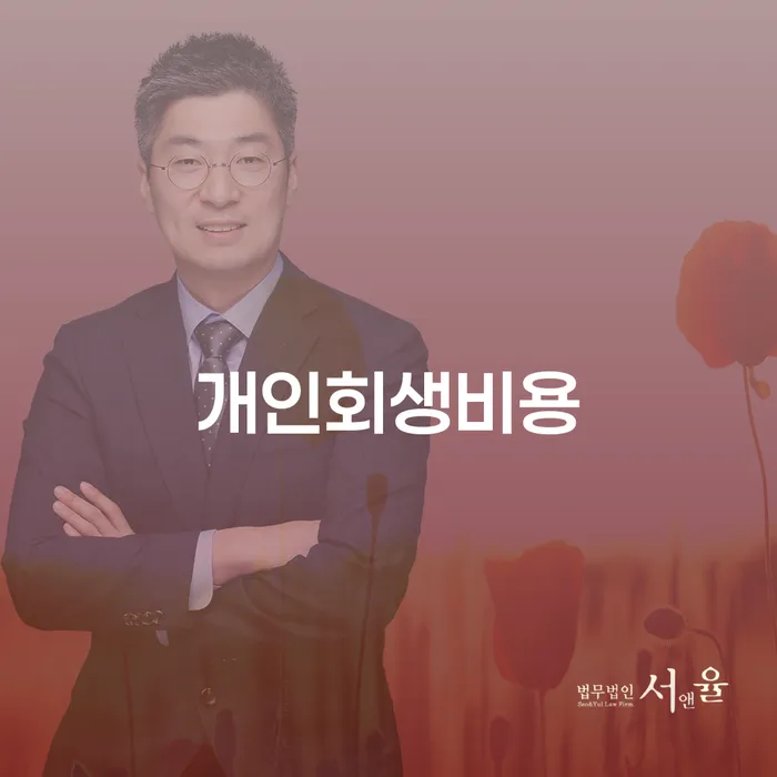 직장인채무통합 개인회생 제도 확실한 진행