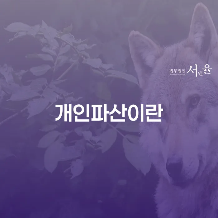 개인회생신청절차 개인회생으로 현명하게 상담받아보기