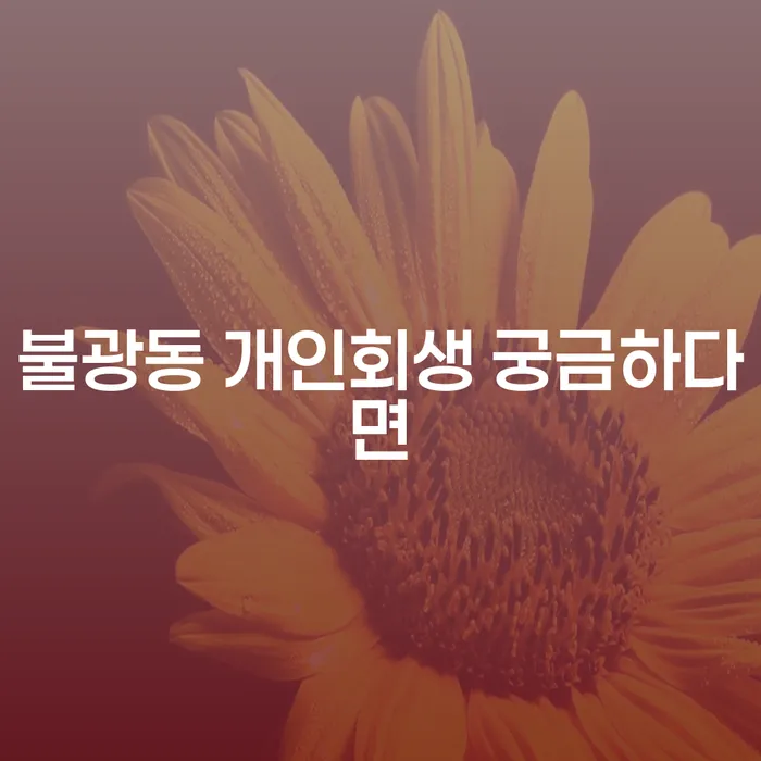 불광동 개인회생 궁금하다면