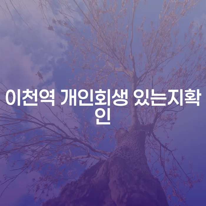 이천역 개인회생 있는지확인