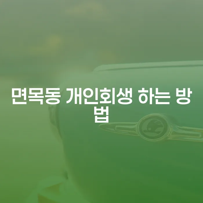 면목동에서 개인회생을 하는 방법은 무엇인가요?