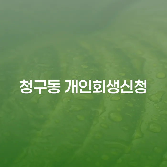 청구동 개인회생신청을 고려해야 하는 이유는 무엇인가요?