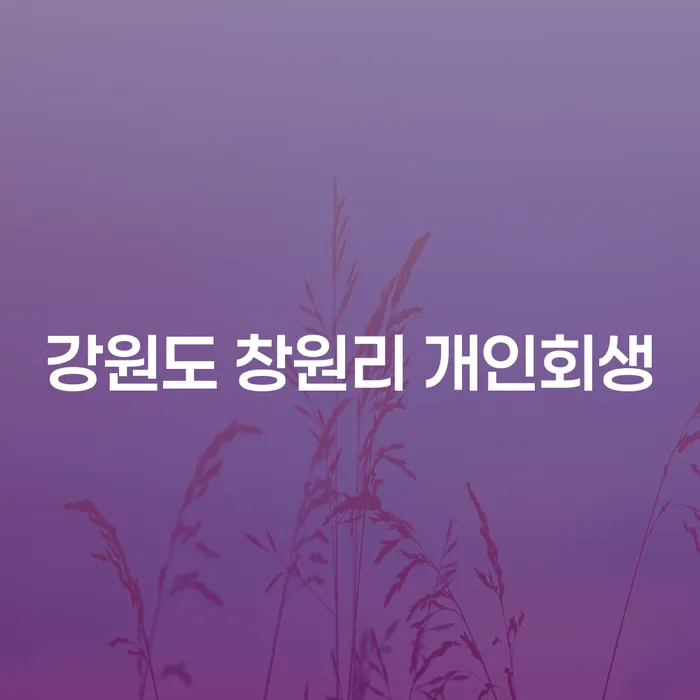 강원도 창원리에서 개인회생을 성공적으로 진행하는 방법은?