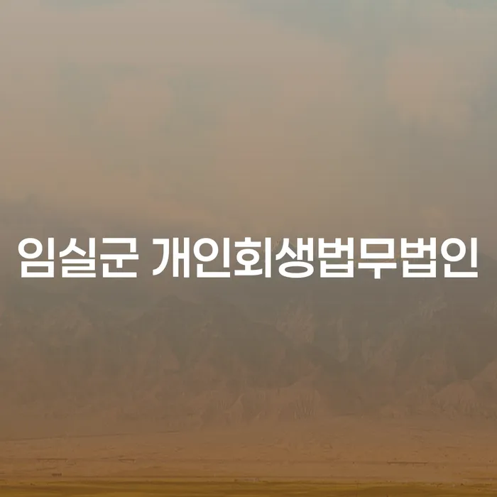 임실군에서 개인회생을 직접 신청하려면 어떻게 해야 할까요?