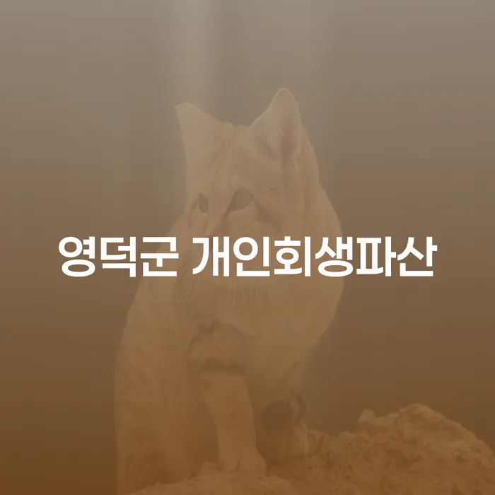 영덕군 개인회생파산 신청, 어떻게 시작해야 할까요?